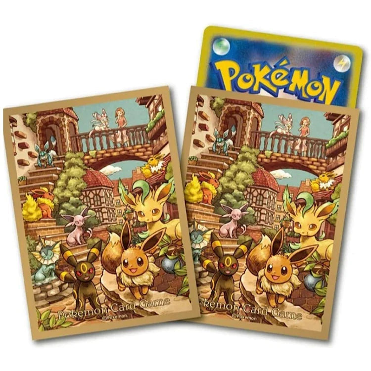 Pokémon Eevee Heroes Gym Set